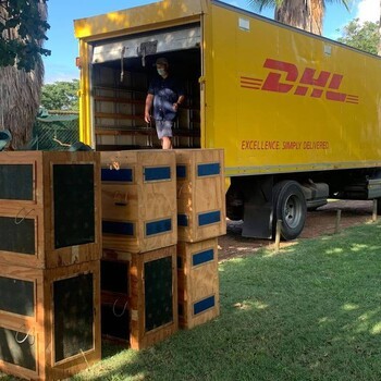 无锡DHL国际快递,无锡DHL国际快递上门取件