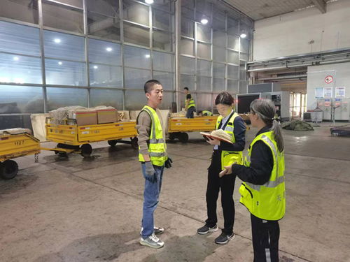 新疆机场集团运管委对天翼国际物流公司开展节前综合安全检查