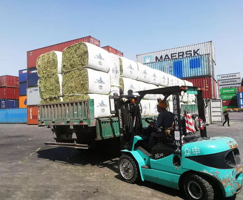 积极应对市场变化 洛娃进出口公司优化国际市场布局