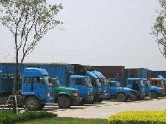 无锡国际快递与八颗杨西红柿代收业务 聊城市思振蔬菜批发的供应商优势